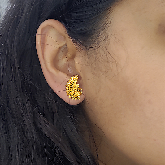 Small Peacock Pasha - II