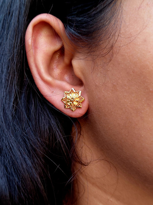 Star Stud - My Golden Wish