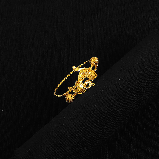 Gold Plated Noa - VII - My Golden Wish