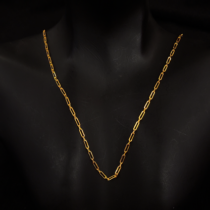 Pin Chain
