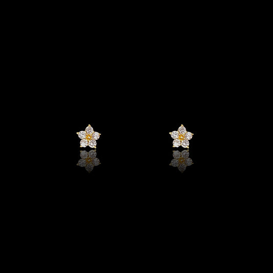 Small Star Cut AD Tops
